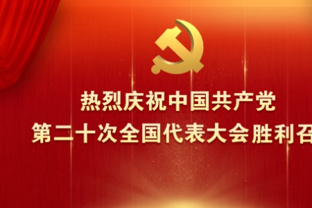 二十大报告金句